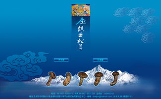 凱云科工貿(mào)與奧遠科技 以技術(shù)驅(qū)動，賦能昆明與云南的數(shù)字化轉(zhuǎn)型